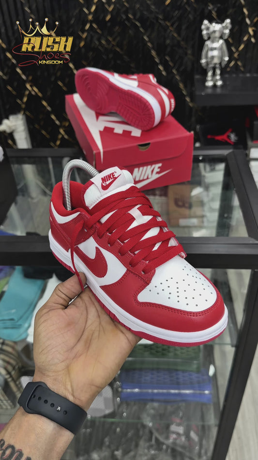 Nike Dunk 🚨